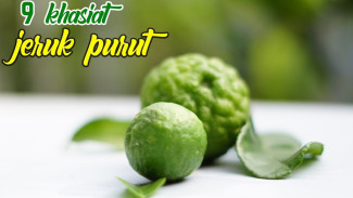Aroma Segar, Manfaat Luar Biasa! Ini Rahasia Jeruk Purut untuk Kesehatan dan Kecantikan
