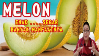 Rahasia Sehat di Balik Buah Melon: Menyegarkan, Menyehatkan, dan Penuh Antioksidan!