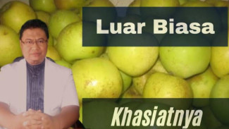 Jangan Kaget! Ini Daftar Lengkap Khasiat Apel Manalagi Malang yang Bikin Hidup Lebih Sehat!