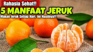 Rahasia Hebat Buah Jeruk yang Bikin Tubuh Kebal, Kulit Cerah, dan Awet Muda