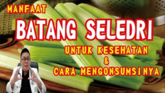 Ternyata Batang Seledri Bisa Turunkan Kolesterol dan Cegah Radang, Ini Penjelasan Ilmiahnya!