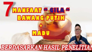 Campur Bawang Putih dan Madu, Ternyata Efeknya Luar Biasa untuk Tubuh, Dokter Jelaskan Rahasianya!