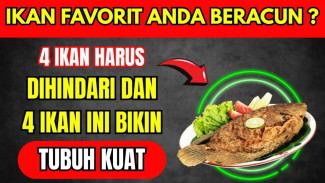 Sudah Sehat, Eh Ternyata Racun! 4 Ikan Ini Bisa Picu Penyakit di Usia Senja