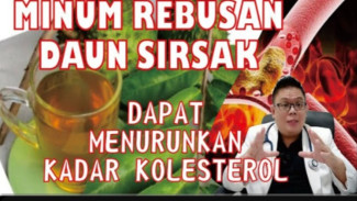Terungkap! Daun Sirsak Ternyata Ampuh Turunkan Kolesterol dan Cegah Penyakit Jantung