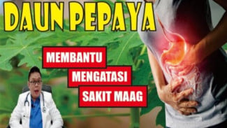 Daun Pepaya Bisa Sembuhkan Asam Lambung? Ini Kata Ahli