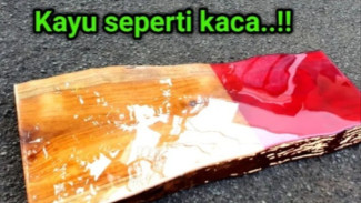 Mau Meja Kayu di Rumah Mengkilap Seperti Kaca! Begini Cara Finishing Natural Bikin Furniture Tahan Puluhan Tahun!
