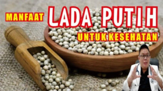 Ternyata Lada Putih Bisa Lawan Kanker! Ini Fakta Ilmiahnya yang Jarang Diketahui