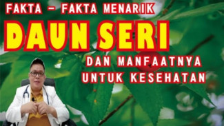 Ternyata Daun Kersen Bisa Sembuhkan Banyak Penyakit! Ini Rahasia yang Jarang Diketahui