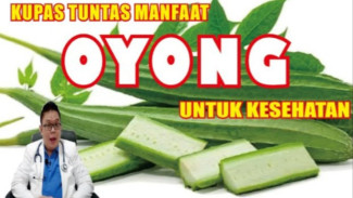 Bukan Sayur Biasa! Ternyata Oyong Adalah Buah dengan Segudang Manfaat untuk Kesehatan!