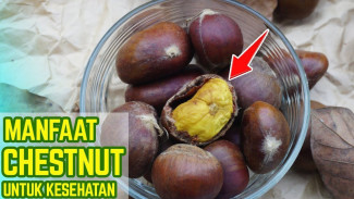 Chestnut Ajaib! 9 Manfaat Kesehatan yang Bikin Tubuhmu Makin Bugar dan Awet Muda