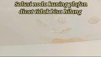Plafon Bocor Bikin Rumah Jadi Buruk Rupa? Trik Rahasia Cuma Modal Cat Anti Bocor, Noda Kuning Hilang Permanen!