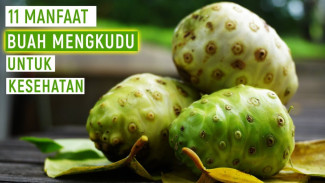 Mengkudu Pahit yang Bikin Tubuh Kuat! 11 Manfaat Ajaib Buah Noni yang Bikin Kaget