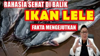 Ternyata Ikan Lele Kaya Omega-3 dan Bisa Lawan Kanker! Ini Fakta Ilmiahnya yang Jarang Diketahui