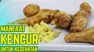 Kecil Tapi Sakti, Ini 9 Khasiat Kencur yang Bisa Bikin Tubuh Kebal dan Awet Muda!