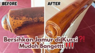 Tak Perlu Amplas! Trik Rahasia Hilangkan Jamur Tebal di Kursi Kayu, Auto Kinclong!