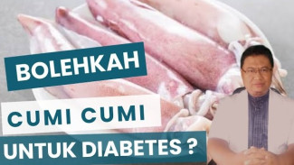 Mengejutkan! Cumi-cumi Nyatanya Rendah Gula dan Karbohidrat, Aman Banget Buat Kamu yang Diabetes