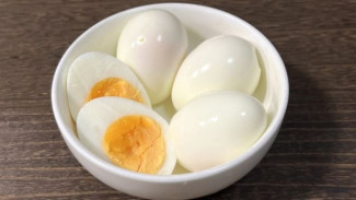 Banyak yang Belum Tahu! Ternyata Makan Telur Setiap Hari Bisa Bikin Otak Tajam dan Jantung Sehat