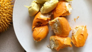 Ternyata Biji Durian Bisa Jadi Superfood! Manfaatnya Bikin Banyak Orang Terkejut