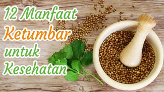 Sekali Coba Ketagihan! Khasiat Ketumbar Ini Bikin Kulit Glowing, Badan Ringan, dan Pencernaan Lancar!