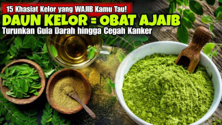 15 Manfaat Luar Biasa Daun Kelor yang Akan Mengubah Hidupmu Jadi Lebih Enerjik dan Segar!