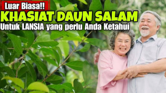 Lansia Wajib Coba! Daun Salam Ternyata Bisa Redakan Nyeri Sendi, Turunkan Gula dan Kolesterol Sekaligus!
