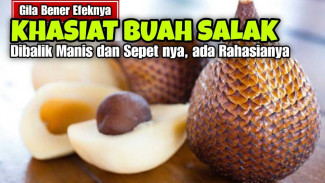 Bongkar Rahasia Salak! 10 Khasiat Super Buah Lokal yang Bikin Tubuh Sehat Maksimal