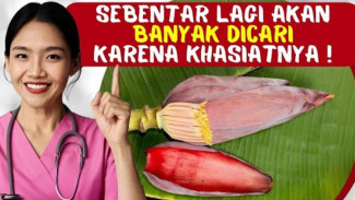 Manfaat Jantung Pisang (Otong Pisang)! Ternyata Sayur Murah Ini Punya Kekuatan Ajaib Bikin Tidur Nyenyak Sampai Lawan