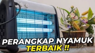 5 Perangkap Nyamuk Murah & Efektif! Nomor 3 Bikin Nyamuk Auto Tewas Tanpa Drama