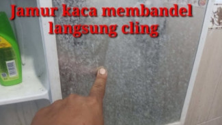 Langsung Kinclong! Begini Cara Bersihkan Jamur Kaca Membandel Modal Recehan!