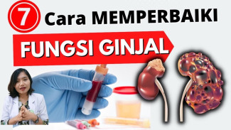 Ternyata Fungsi Ginjal yang Menurun Bisa Membaik Secara Alami, Begini 7 Caranya