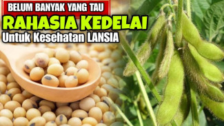 Bukan Obat Mahal, Ternyata Kedelai Bisa Bikin Lansia Tetap Sehat dan Aktif Tiap Hari