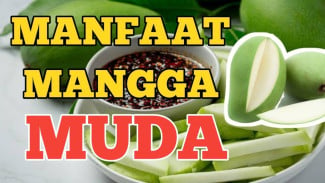 Mangga Muda Super Ajaib! Rahasia Kesehatan Jantung dan Perkembangan Janin yang Belum Banyak Diketahui Ibu Hamil