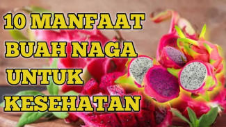 Kulit Glowing Tanpa Skincare Mahal, Ini Rahasia Buah Naga Merah yang Bikin Awet Muda dan Sehat Total