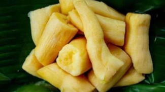 Fakta Menarik Tape Singkong: Enak, Tradisional, Banyak Manfaatnya!
