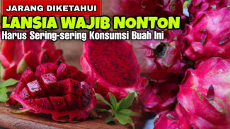 Buah Naga Bikin Tubuh Auto Sehat, Manfaatnya Bikin Kaget dan Wajib Dicoba Setiap Hari