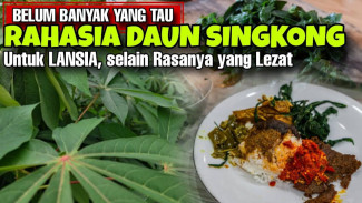 10 Manfaat Daun Singkong Super Ajaib, Bisa Bikin Tubuh Kebal dan Kulit Kinclong Sekaligus!