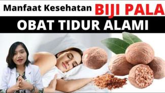 Rahasia Rempah dari Banda! 4 Manfaat Ilmiah Pala (Nutmeg)—Hati-Hati, Konsumsi Berlebihan Bisa Sebabkan Halusinasi!
