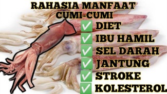 Cumi-cumi Disebut Superfood Masa Kini, Nutrisi Ganasnya Bikin Berat Badan Ambrol dan Tubuh Makin Prima