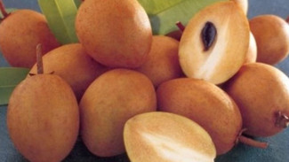 Manfaat Fantastis Buah Sawo untuk Kulit, Rambut, dan Kesehatan Wanita