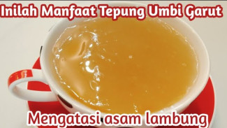 Tepung Umbi Garut Bisa Turunkan Asam Lambung dan Berat Badan Sekaligus, Siap Dicoba Hari Ini!