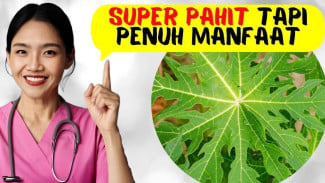 8 Manfaat Daun Pepaya Terbukti Ilmiah, Khasiat Kesehatan Gacor Banget!