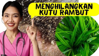 2025 Masih Punya Kutu Rambut? Coba 5 Herbal Alami Ini Sekarang Juga