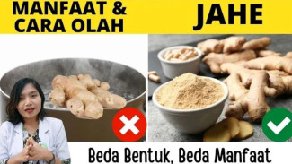 Jangan Sampai Salah! Ini Beda Manfaat Jahe Segar, Kering, dan Rebus: Wajib Tahu Dosis Tepat Agar Asam Lambung Sembuh!