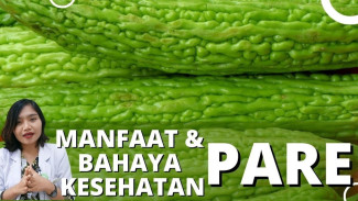 Tanaman Obat Ini Ampuh Bunuh Bakteri sampai Virus, Begini Cara Tepat Memasak Pare