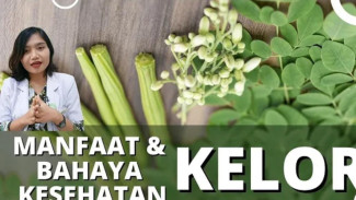 Kelor Pohon Ajaib Dari Surga 12 Manfaat Gila Daun Kelor Dari Liver Sampai Asma