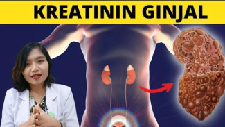 Kreatinin Tinggi: Pasti Gagal Ginjal? Cek Dulu 5 Penyebab Lain dan Pentingnya Nilai eGFR Akurat!