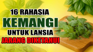 Lansia Wajib Tahu! 16 Keunggulan Kemangi, Solusi Gula Darah Stabil dan Daya Ingat Setajam Silet Tanpa Obat Kimia