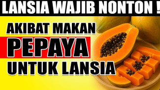 Stop Anggap Remeh Pepaya! Rahasia Superfood Lokal: Papain dan Likopen Mampu Bersihkan Usus dan Jantung di Usia Senja