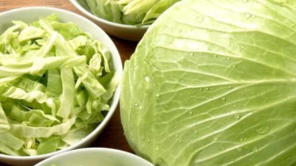 Sayur Kol Ternyata Punya Kekuatan Super yang Jarang Orang Ketahui, Nomor 5 Bikin Kaget!