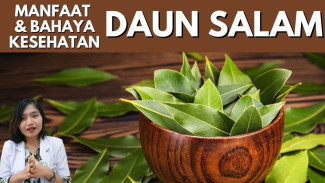 Daun Salam Bukan Hanya Bumbu Dapur, Ini Manfaatnya untuk Kesehatan Tubuh!